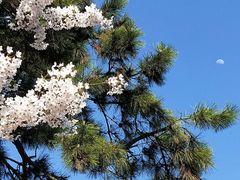 -啊噗吐呦现场烘焙(麦凯乐店)