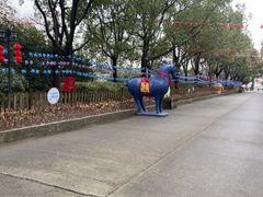 -上海都市菜园