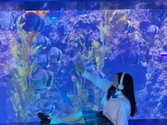 -南昌融创海世界