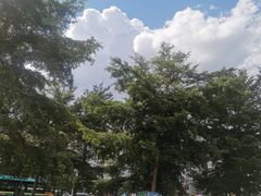 -万达广场(南宁青秀店)