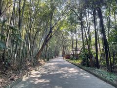 -洪湖悦兮半岛国际温泉度假村