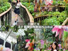 -正佳雨林生态植物园