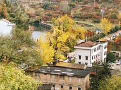 -四明山国家森林公园