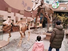 -陕西自然博物馆