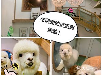 小动物们这么可爱，想不想跟他它们近距离接触呀！