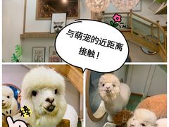 -藦茜花园宠物主题亲子互动体验馆(国顺东路店)