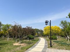 -水西公园