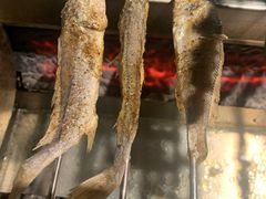 多春鱼-很久以前羊肉串(中山公园店)