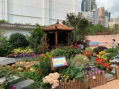 -九龙公园