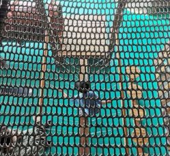 -恐龙探索乐园(磁器口店)