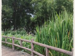 -成都市活水公园