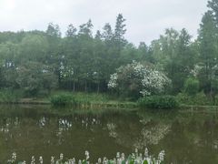 -新江湾城公园