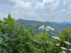 -宝鼎风景区