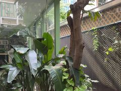 -绿房子方寸咖啡(星海名城店)