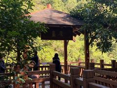 -广州白江湖森林公园