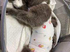 -纳吉亚猫专科动物医院博雅分院