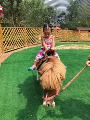 -萌宠亲子动物乐园(槐房万达店)