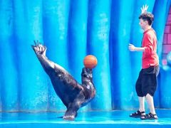 -华夏文旅海洋公园