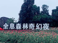 -秀丽东方