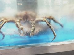 -盒马鲜生(悦峰店)
