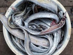 带鱼-芦潮港集贸市场