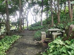 -海口火山口国家地质公园