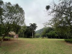 -南宁良凤江国家森林公园