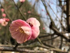 -白塘生态植物园