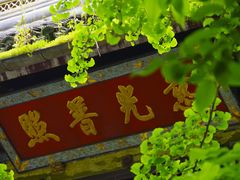 -西园戒幢律寺