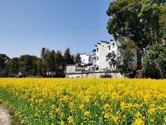 -婺源风景区