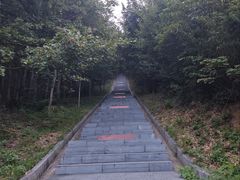 -冶父山国家森林公园