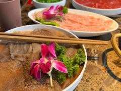 -小龙坎火锅(春熙太古里店)