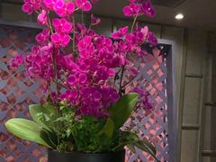 -LANN I 蘭 泰式古法按摩(徐家汇城开YOYO店)