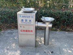 -金鸡湖景区