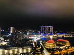 -新加坡瑞士史丹福酒店