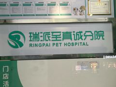 -瑞派动物医院·猫专科·至诚(江南中分院)