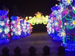 -常州环球恐龙城维景国际大酒店