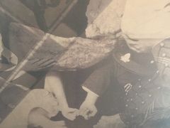 iphone_upload_pic-天津津利华酒店