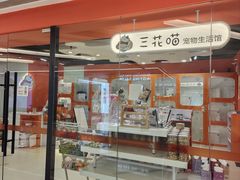 -三花喵·撸猫购宠·宠物生活馆(虹桥南丰城店)