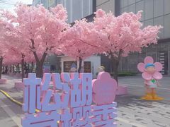 -东莞松山湖万象汇