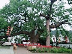 -新安江山水画廊风景区
