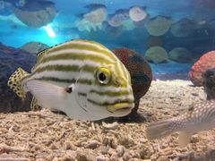 -北戴河圣蓝海洋公园