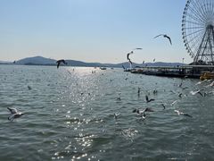 -蠡湖大桥公园