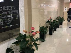 -上海仁爱医院