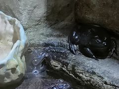 -青青世界