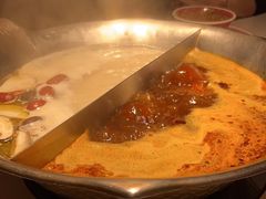 -九鼎轩脆毛肚火锅(三钢里店)