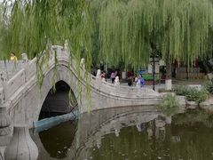 -文瀛公园