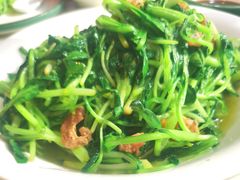 油渣鸡毛菜-春饼家常菜(百子湾店)