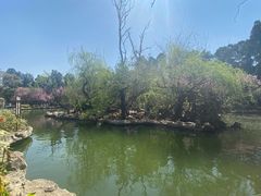 -昆明动物园