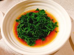 -老人和饭店(打浦路店)